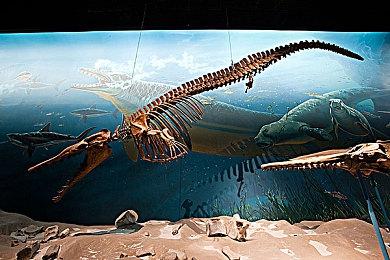 SE高清像素策略游戏《三角战术》3月4日登陆Switch