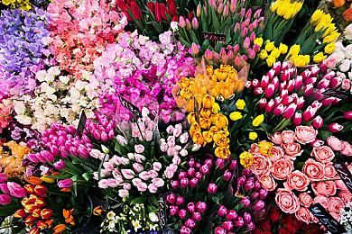 化身急救人员体验生死时速《急救模拟器》公开实机预告